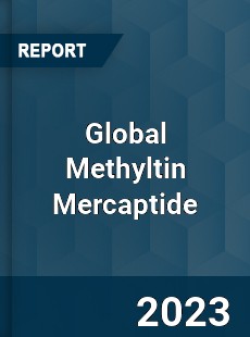 Global Methyltin Mercaptide Industry