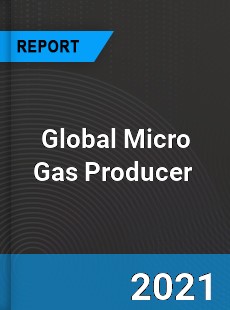 Global Micro Gas Producer Market