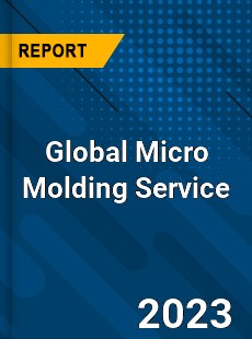 Global Micro Molding Service Industry