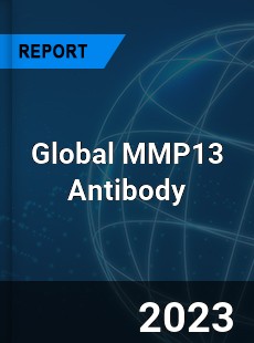 Global MMP13 Antibody Industry