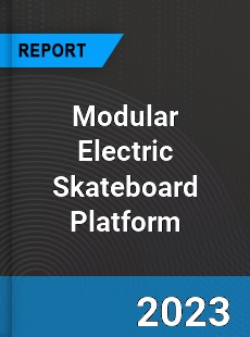 Global Modular Electric Skateboard Platform Market
