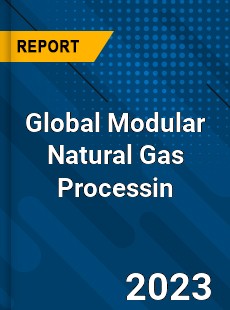 Global Modular Natural Gas Processin Industry