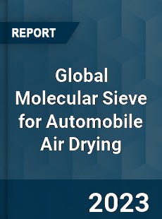 Global Molecular Sieve for Automobile Air Drying Industry