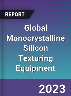 Global Monocrystalline Silicon Texturing Equipment Industry