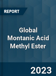 Global Montanic Acid Methyl Ester Industry