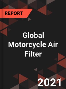 Global Motorcycle Air Filter Market