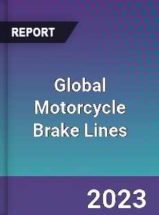 Global Motorcycle Brake Lines Market