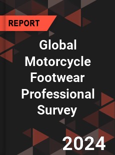 Global Motorcycle Footwear Professional Survey Report