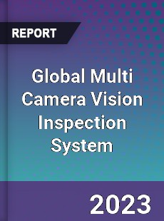 Global Multi Camera Vision Inspection System Industry