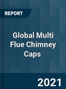 Global Multi Flue Chimney Caps Market