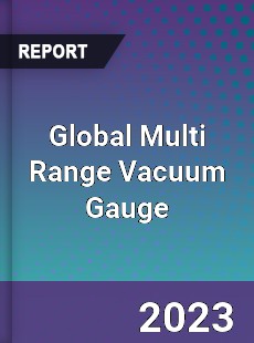 Global Multi Range Vacuum Gauge Industry