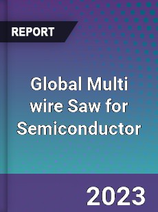 Global Multi wire Saw for Semiconductor Industry