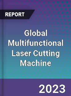 Global Multifunctional Laser Cutting Machine Industry