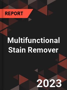 Global Multifunctional Stain Remover Market