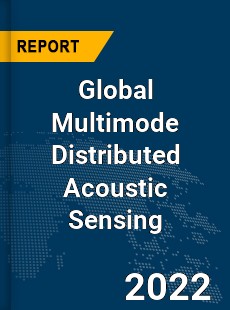 Global Multimode Distributed Acoustic Sensing Market