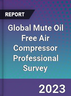 Global Mute Oil Free Air Compressor Professional Survey Report