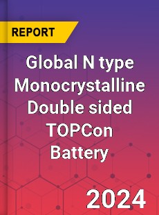 Global N type Monocrystalline Double sided TOPCon Battery Industry