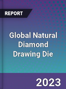 Global Natural Diamond Drawing Die Industry