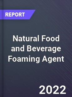 Global Natural Food and Beverage Foaming Agent Market