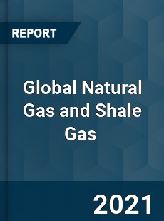 Global Natural Gas and Shale Gas Market