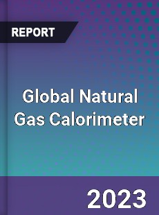 Global Natural Gas Calorimeter Industry