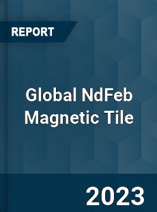 Global NdFeb Magnetic Tile Industry