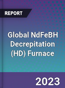 Global NdFeBH Decrepitation Furnace Industry