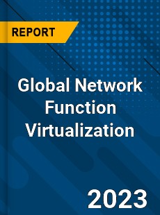 Global Network Function Virtualization Market