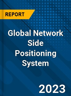 Global Network Side Positioning System Industry