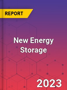 Global New Energy Storage Market