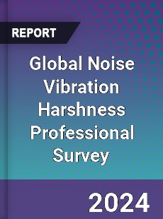 Global Noise Vibration Harshness Professional Survey Report