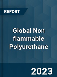 Global Non flammable Polyurethane Industry