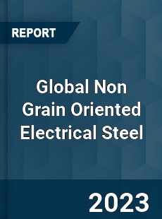 Global Non Grain Oriented Electrical Steel Market