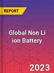 Global Non Li ion Battery Industry