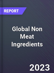 Global Non Meat Ingredients Market