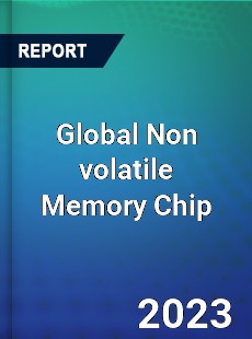 Global Non volatile Memory Chip Industry