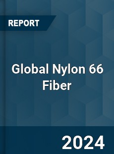 Global Nylon 66 Fiber Industry