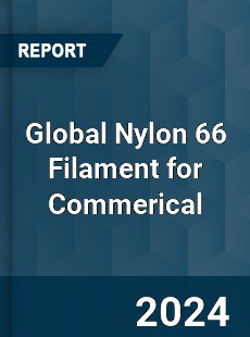 Global Nylon 66 Filament for Commerical Industry