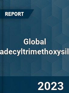 Global Octadecyltrimethoxysilane Industry