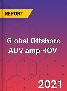 Global Offshore AUV amp ROV Market