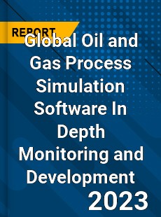 Global Oil and Gas Process Simulation Software In Depth Monitoring and Development Analysis