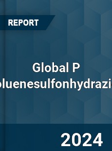 Global P Toluenesulfonhydrazide Industry