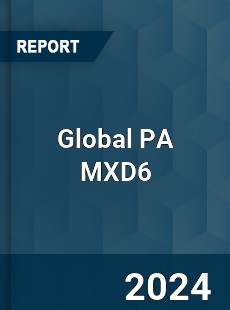 Global PA MXD6 Industry