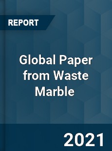 Global Paper from Waste Marble Market