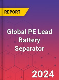 Global PE Lead Battery Separator Industry