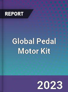 Global Pedal Motor Kit Industry