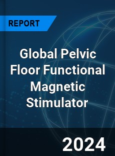 Global Pelvic Floor Functional Magnetic Stimulator Industry