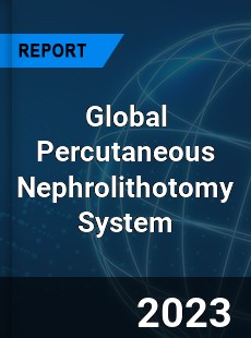 Global Percutaneous Nephrolithotomy System Market