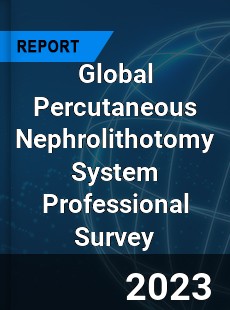 Global Percutaneous Nephrolithotomy System Professional Survey Report