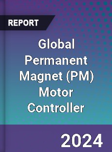 Global Permanent Magnet Motor Controller Industry